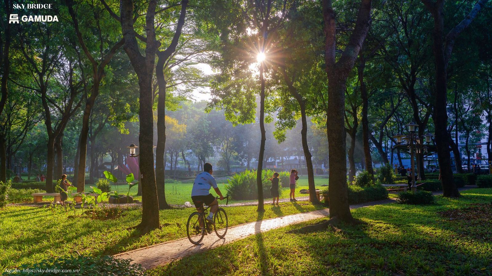 Đường dạo bộ công viên xanh SkyBridge